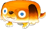 바코토