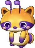 라쿠